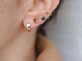 Clovis tortoise earrings
